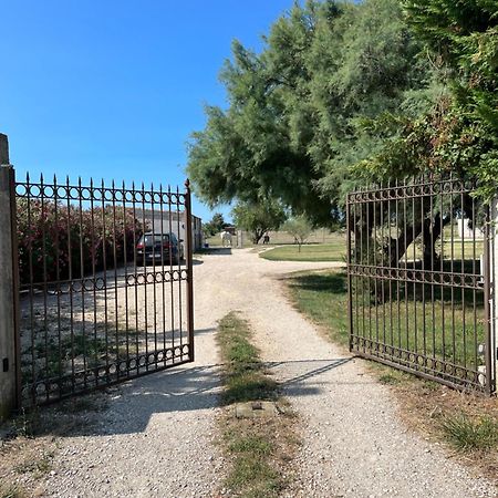 « La Parenthese » Gite En Camargue Arles Exterior foto