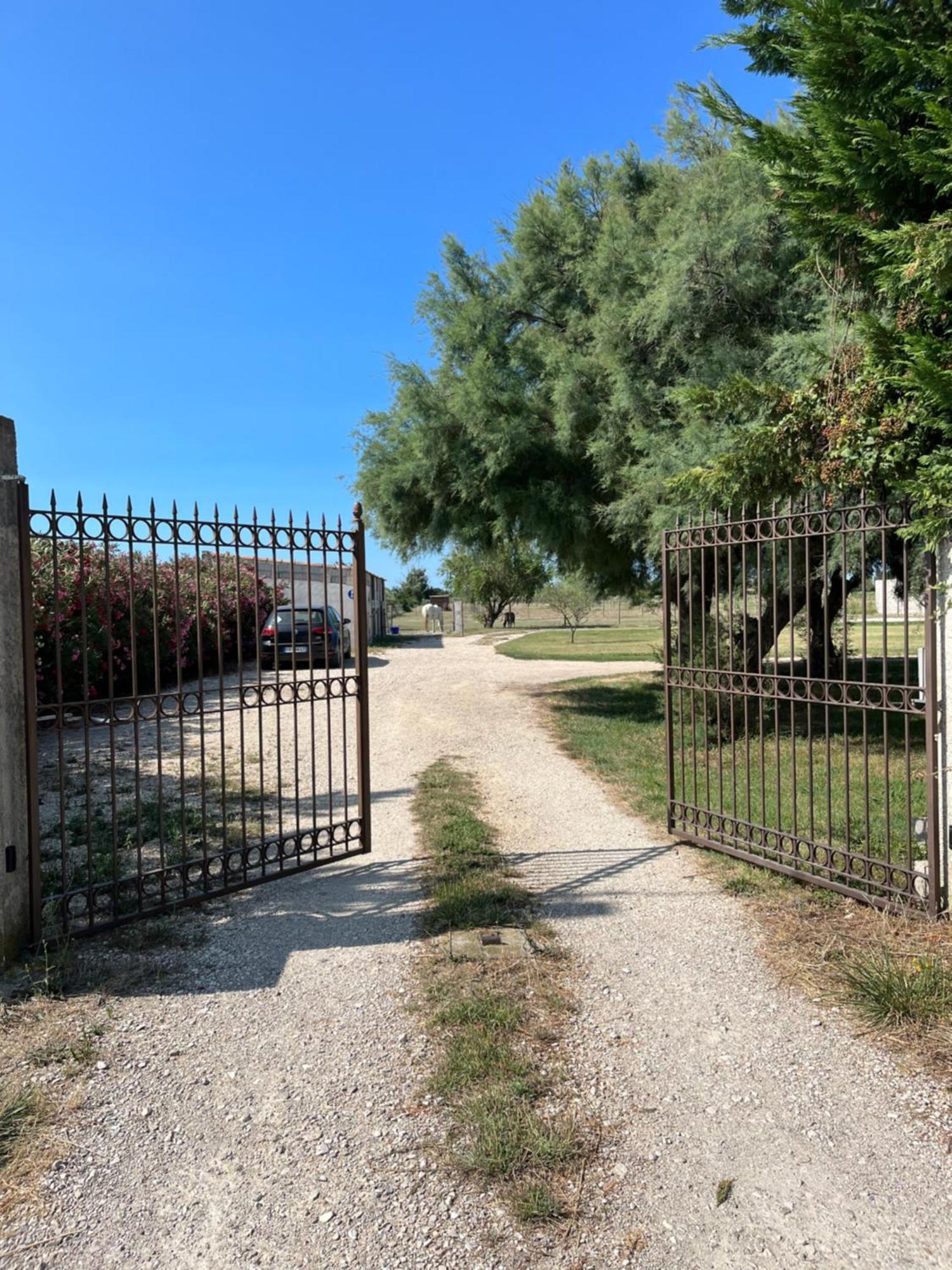 « La Parenthese » Gite En Camargue Arles Exterior foto